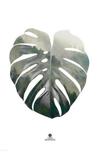 Poster Monstera leaf