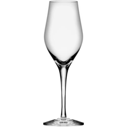 Orrefors Sense Champagneglass 25,5 cl, 6-pk