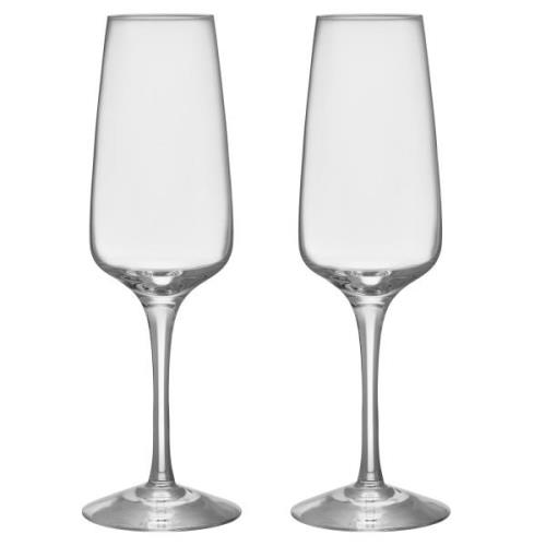 Orrefors Pulse champagneglass 28 cl, 2-pakning