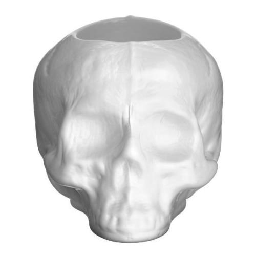 Kosta Boda - Still Life skull lyslykt 8,5 cm offwhite