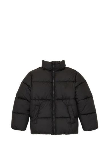 Puffer Winter Jacket Fôret Jakke Black Tom Tailor