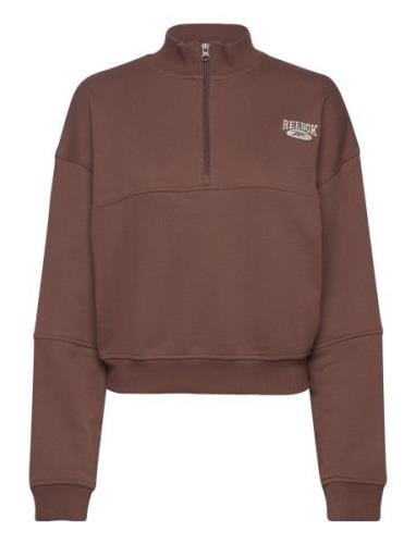 Cl Ae Coverup Sport Sweat-shirts & Hoodies Sweat-shirts Brown Reebok C...