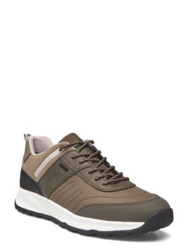 U Terrestre B Abx A Lave Sneakers Khaki Green GEOX