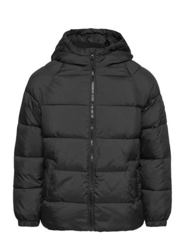 Hood Quilted Coat Fôret Jakke Black Mango