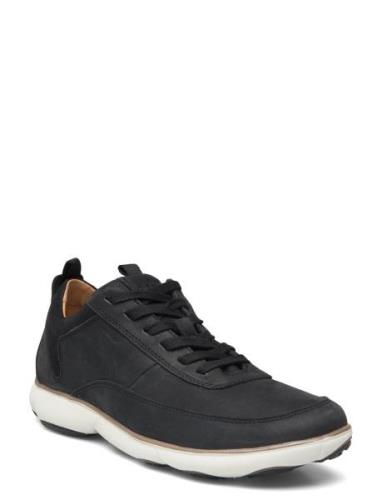 U Nebula A Lave Sneakers Black GEOX