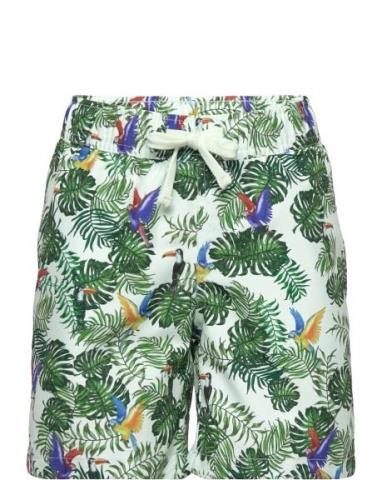 Borg Print Swim Shorts Sport Swimshorts Multi/patterned Björn Borg