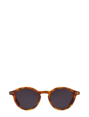 Lia Havana Black Solbriller Black Corlin Eyewear