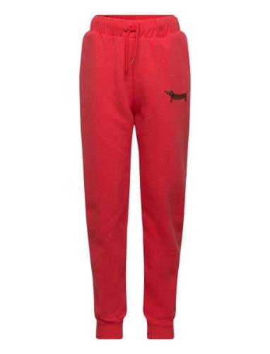 Dog Emb Sweatpants Bottoms Sweatpants Red Mini Rodini