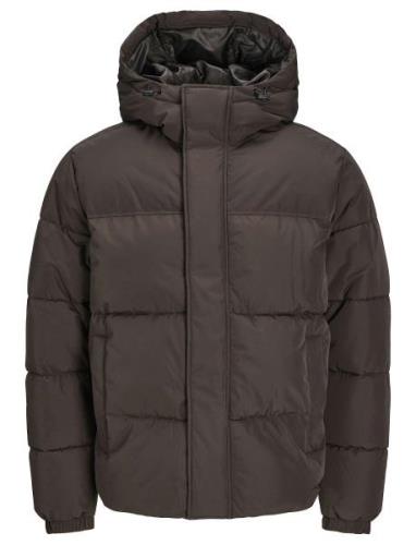 Jjebradley Puffer Hood Sn Fôret Jakke Brown Jack & J S