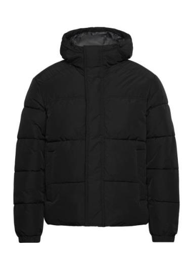 Jjebradley Puffer Hood Sn Fôret Jakke Black Jack & J S