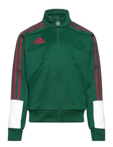 J Np Ttop Sport Sweat-shirts & Hoodies Sweat-shirts Green Adidas Sport...